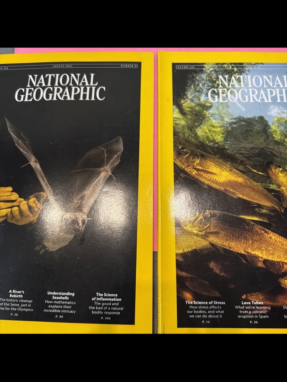 two 2024 national geographic magazines august and june nature themed
